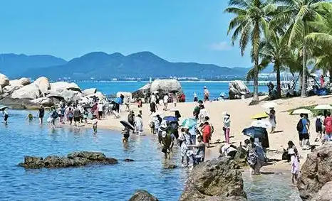 高级经济师试题(财政税收)-高级财政税收试题